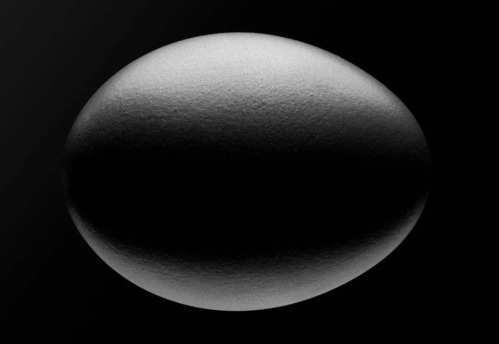 ¿Qué es la proteína?