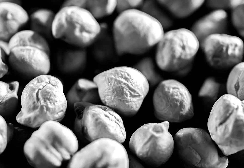 ¿Cuál es la mejor proteína?